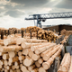 Illustration for article titled Logging Industry Announces That They Just Can’t Fucking Get Enough Of Logsem/em